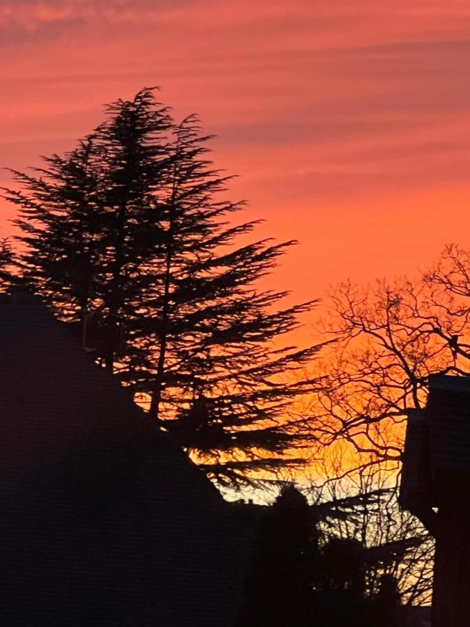 Le Talisman Bed & Breakfast Saint-Germain-en-Laye Bagian luar foto