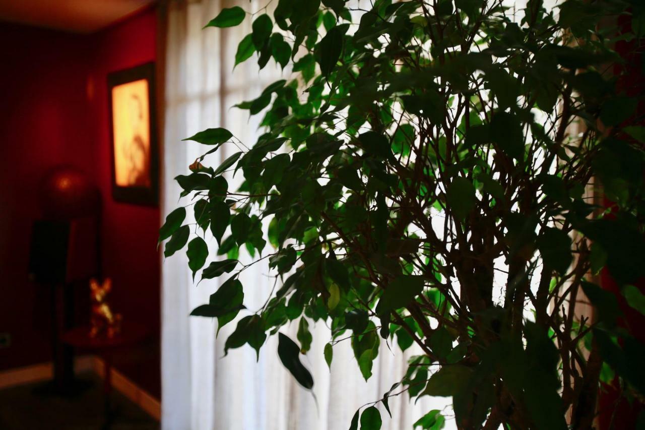 Le Talisman Bed & Breakfast Saint-Germain-en-Laye Bagian luar foto